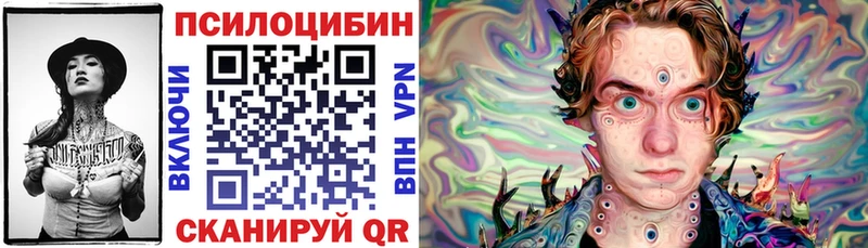 Купить где  Малоархангельск  Псилоцибиновые грибы Psilocybine cubensis 